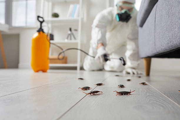 Commercial Kitchen Cockroach Control in Fanwood